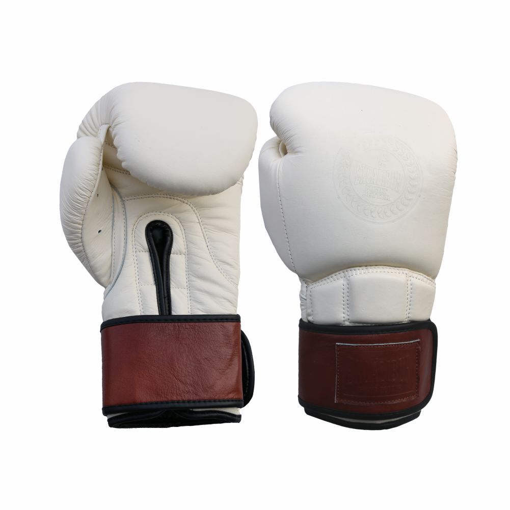 Ring Pro Boxing Gloves
